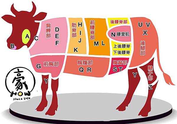 豪HOW雙饗牛肉麵肉品部位圖.jpg