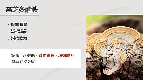 【窈窕推薦】2023 追求窈窕健康體態必看｜日安完美紅藜麥穀