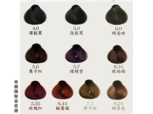 【居家染髮】台灣市售唯一不含PPD有害物質｜My Color